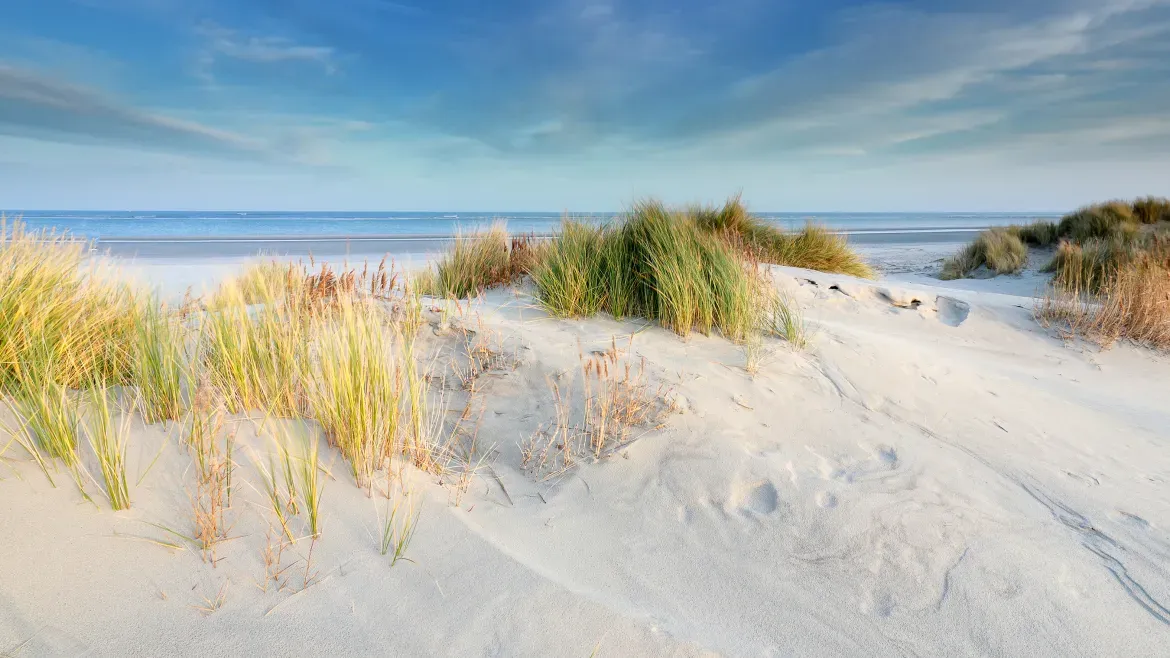 Starten zonder Geld of Vakantiewoning = Rent-To-Rent methode